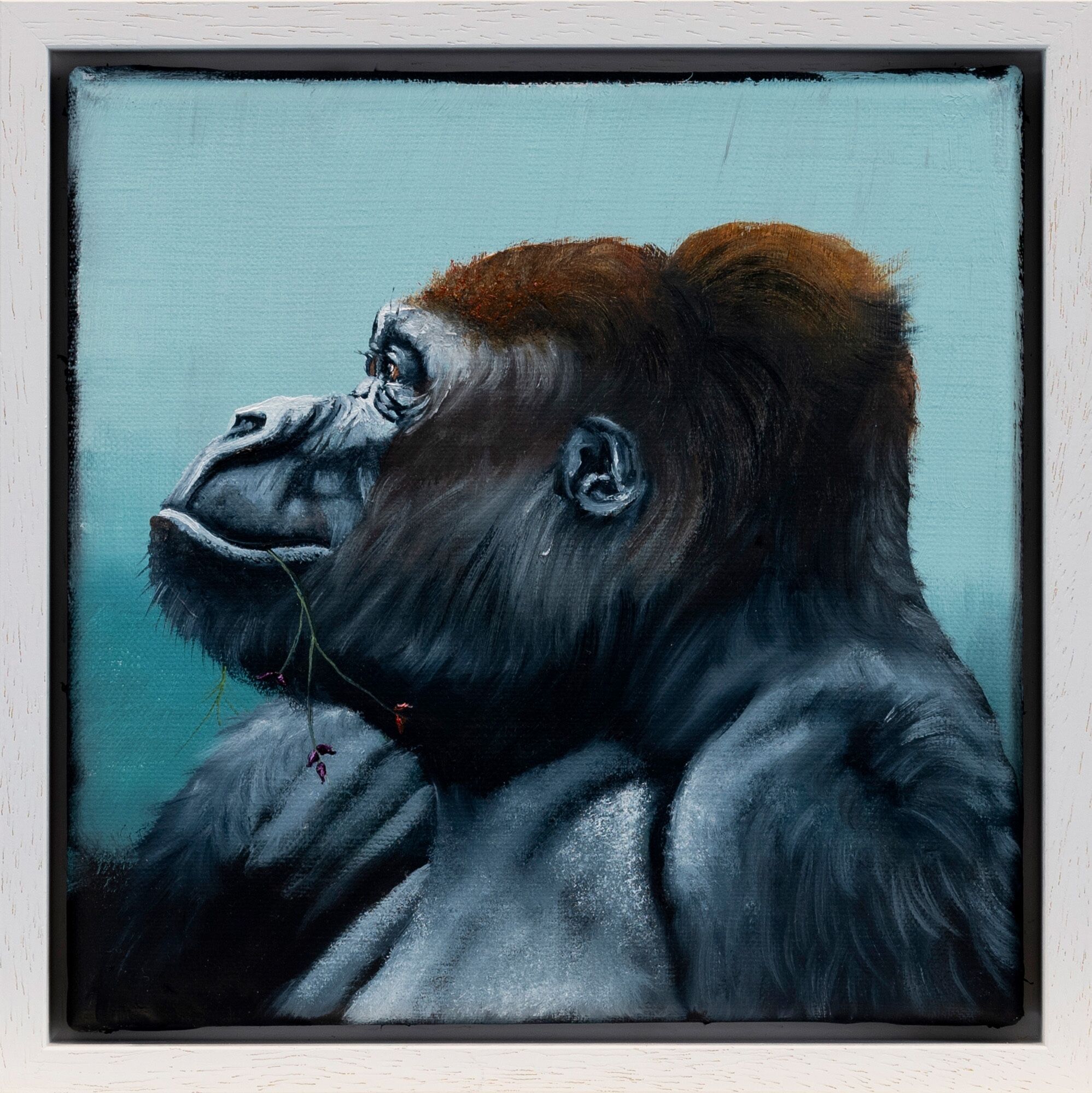 Picture "Series Animal Portrait | Gorilla" (2024) (Unique piece) by Lezzueck Coosemans