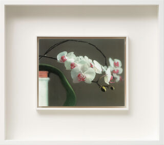 Bild "Orchidee II" (1998)